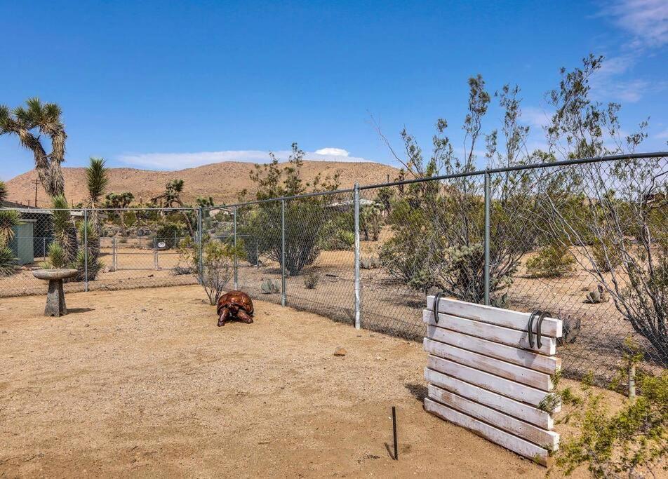 Jt Cottage Yucca Valley Dış mekan fotoğraf